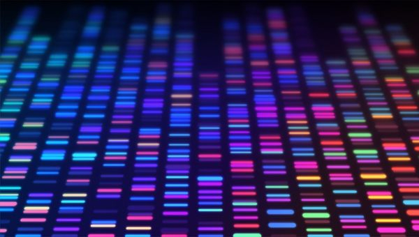 Image20260305-sanger